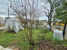 listing-small
