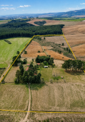 listing-small