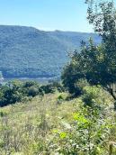 listing-small