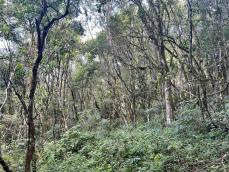 listing-small