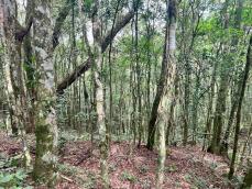 listing-small