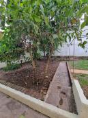 listing-small