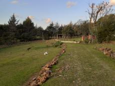 listing-small