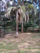listing-small