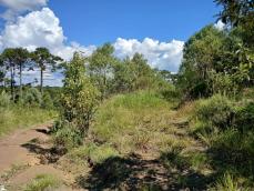listing-small