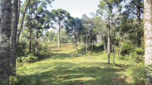 listing-small