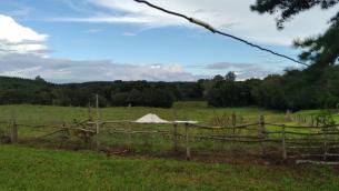 listing-small