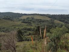 listing-small