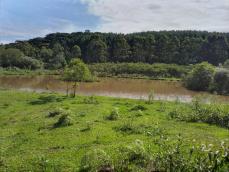 listing-small