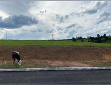 listing-small