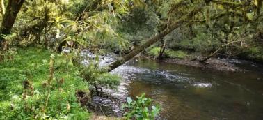 listing-small