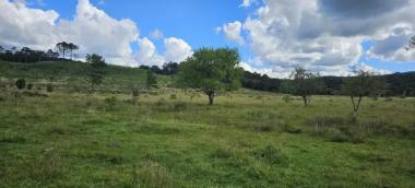 listing-small